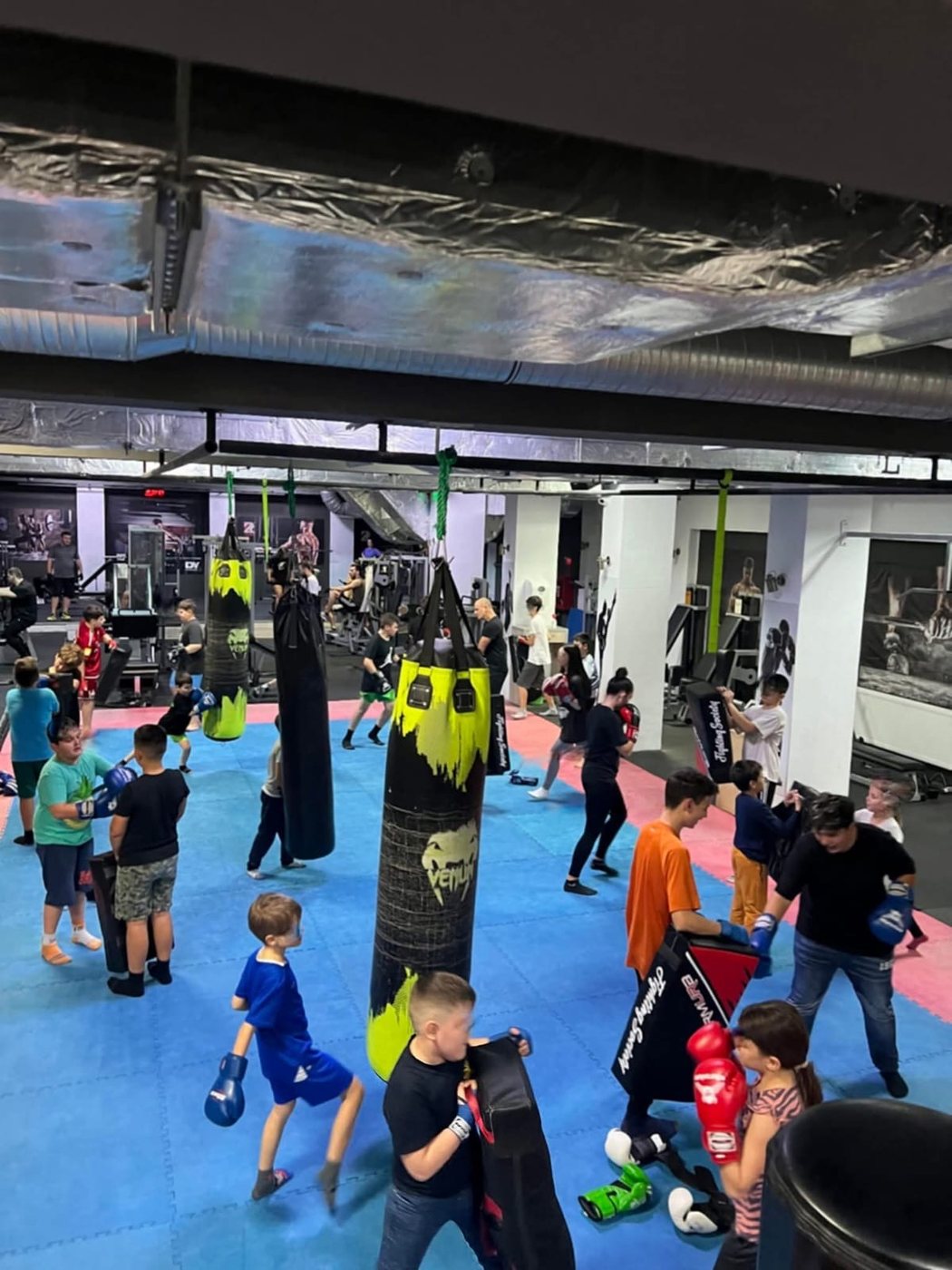 Kickbox copii la palmare